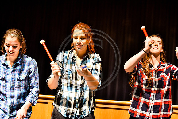 Highland Bass Drum Ensemble_170401_Spring-Ford-2715