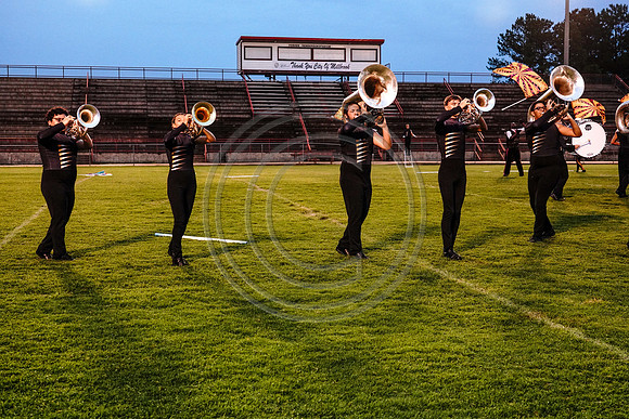 Carolina Gold_190713_Millbrook-03307