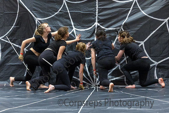Hopewell Valley Central Guard_250201_Hillsborough HS-JB00044