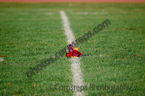 Southern Regional_240914_Manchester-mg-8