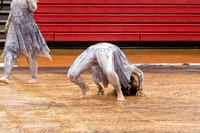 Winter Star_250308_Bridgewater-Raritan HS-JB00018