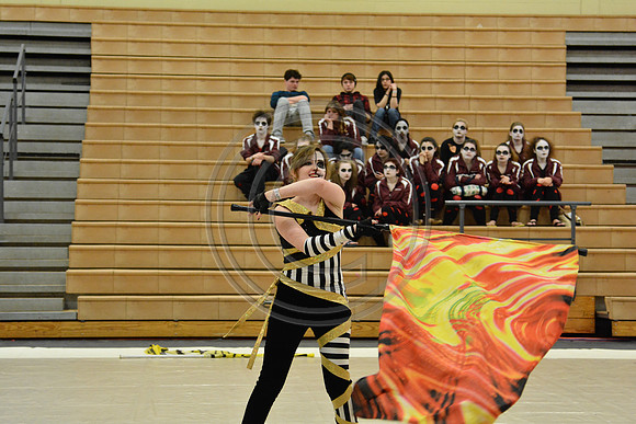 Bloomfield Guard-555