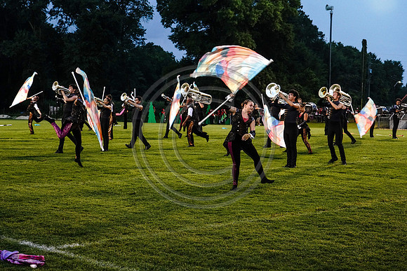 Carolina Gold_190713_Millbrook-03294