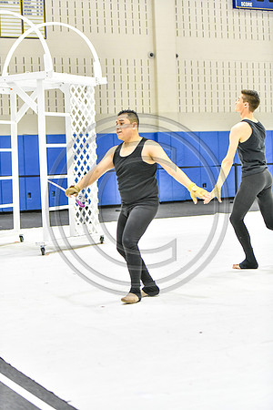 Emanon World Guard_190126_Spring-Ford-2245