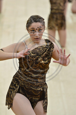 Rhythm in Motion Open Dance-331