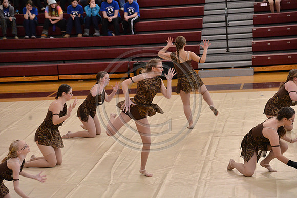 Rhythm in Motion Open Dance-323