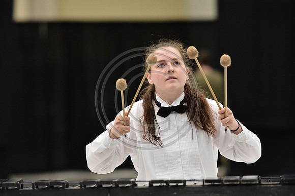 Triton Regional Percussion-208