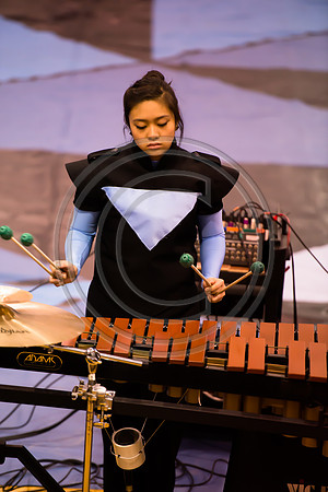 Fairfax Drumline-139
