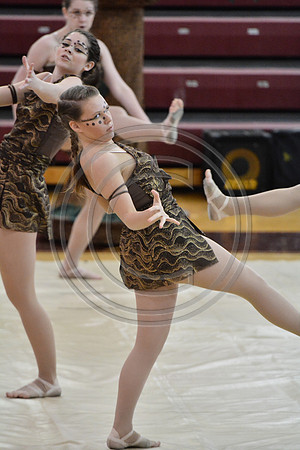 Rhythm in Motion Open Dance-320
