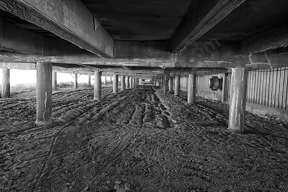 _240501_Wildwood-XX00014