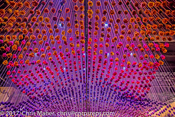 012-Looking Up - Philadelphia Flower Show