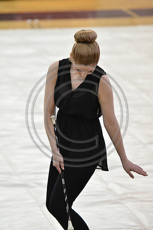 Elite Twirlers-411
