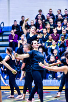 AMP A Guard_180127_Spring-Ford-8738