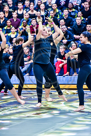 AMP A Guard_180127_Spring-Ford-8739