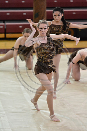 Rhythm in Motion Open Dance-317