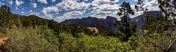 Kolob Canyon-009