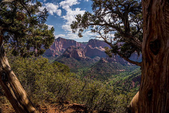 Kolob Canyon-016
