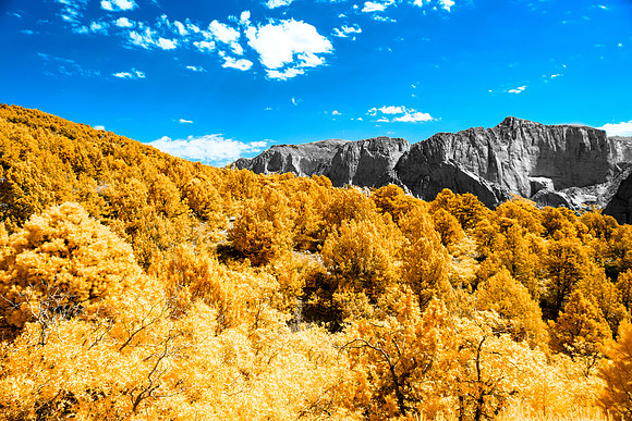 Kolob Canyon-022