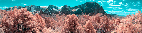 Kolob Canyon-024