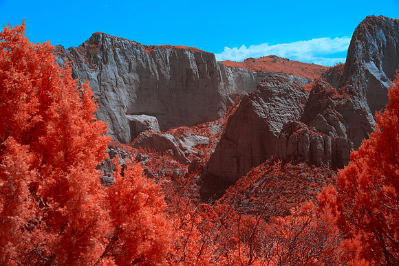Kolob Canyon-025