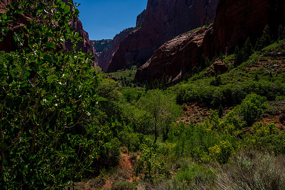 Kolob Canyon-031