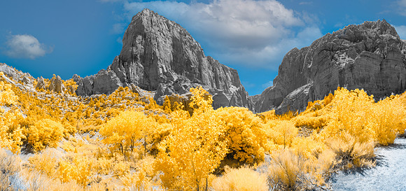 Kolob Canyon-034