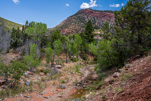 Kolob Canyon-035