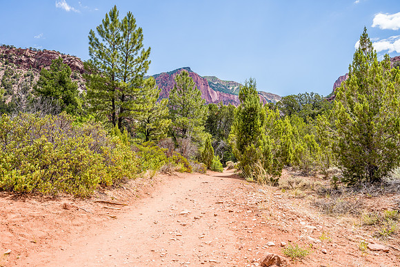 Kolob Canyon-036