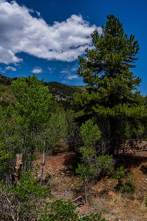 Kolob Canyon-037