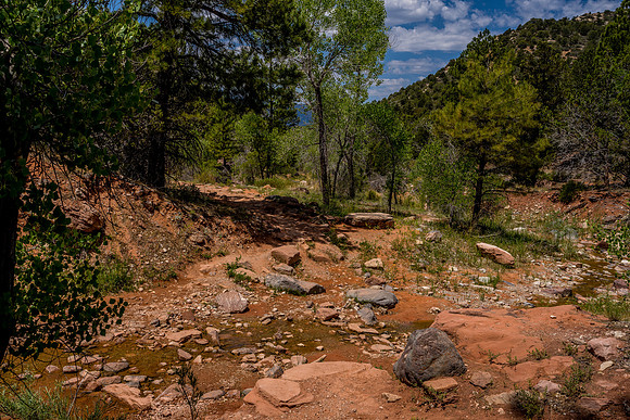 Kolob Canyon-039