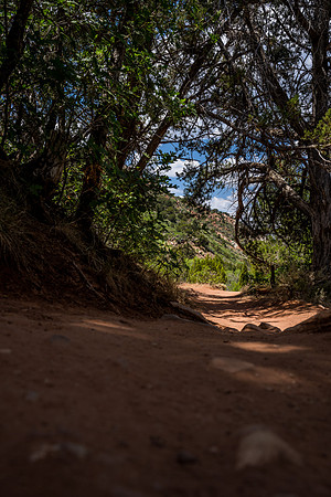 Kolob Canyon-040