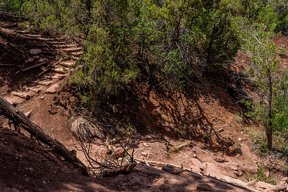 Kolob Canyon-041