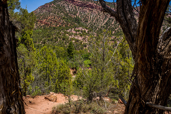 Kolob Canyon-042