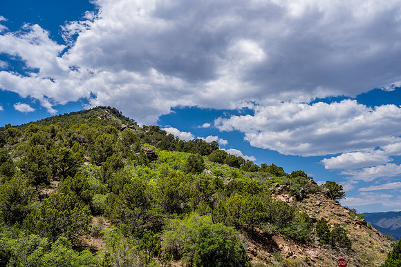 Kolob Canyon-045