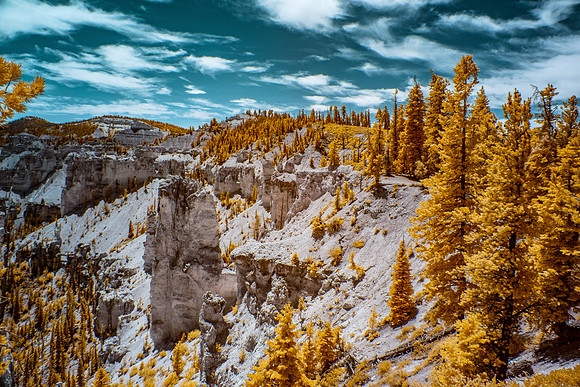 Black Birch Canyon-013