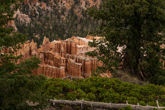 Bryce Point-033