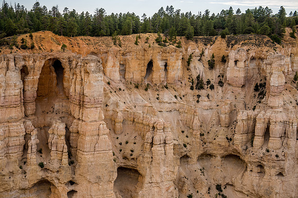 Bryce Point-038