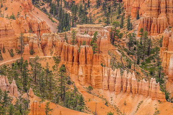 Bryce Point-039