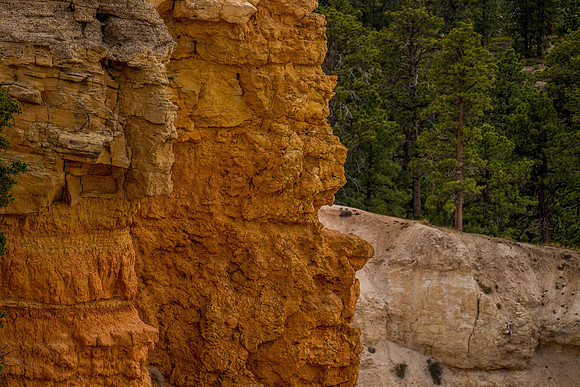 Bryce Point-040