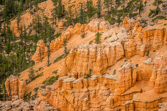 Bryce Point-042