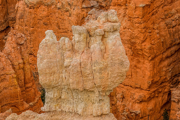 Bryce Point-045