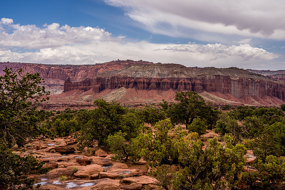 Goosenecks Point-100