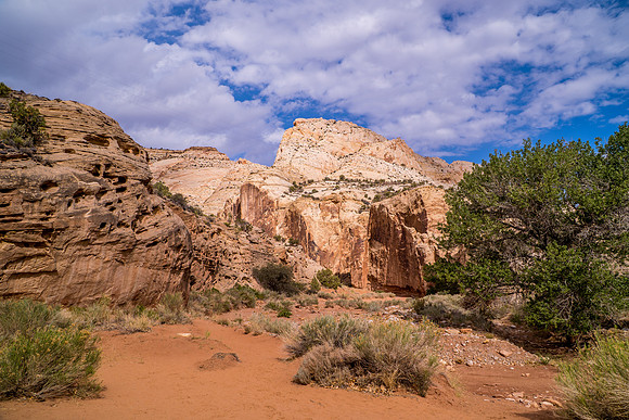 Grand Wash-047