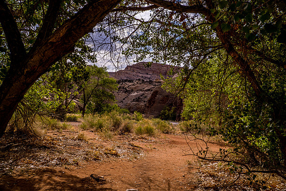 Grand Wash-048