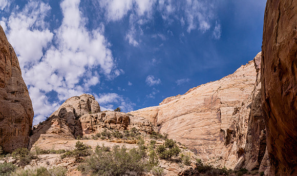 Grand Wash-060