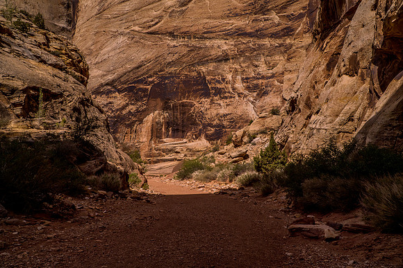 Grand Wash-062