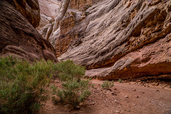 Grand Wash-064