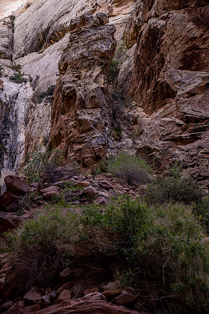 Grand Wash-066