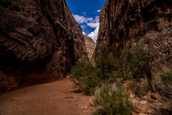 Grand Wash-067
