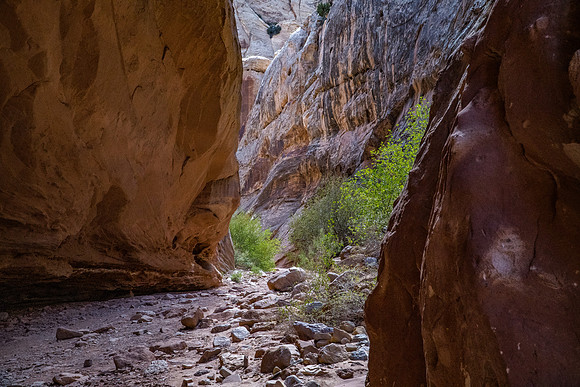Grand Wash-070